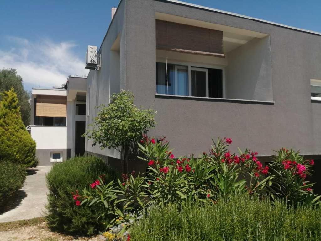 Apartments Dora 2 Bibinje Kültér fotó