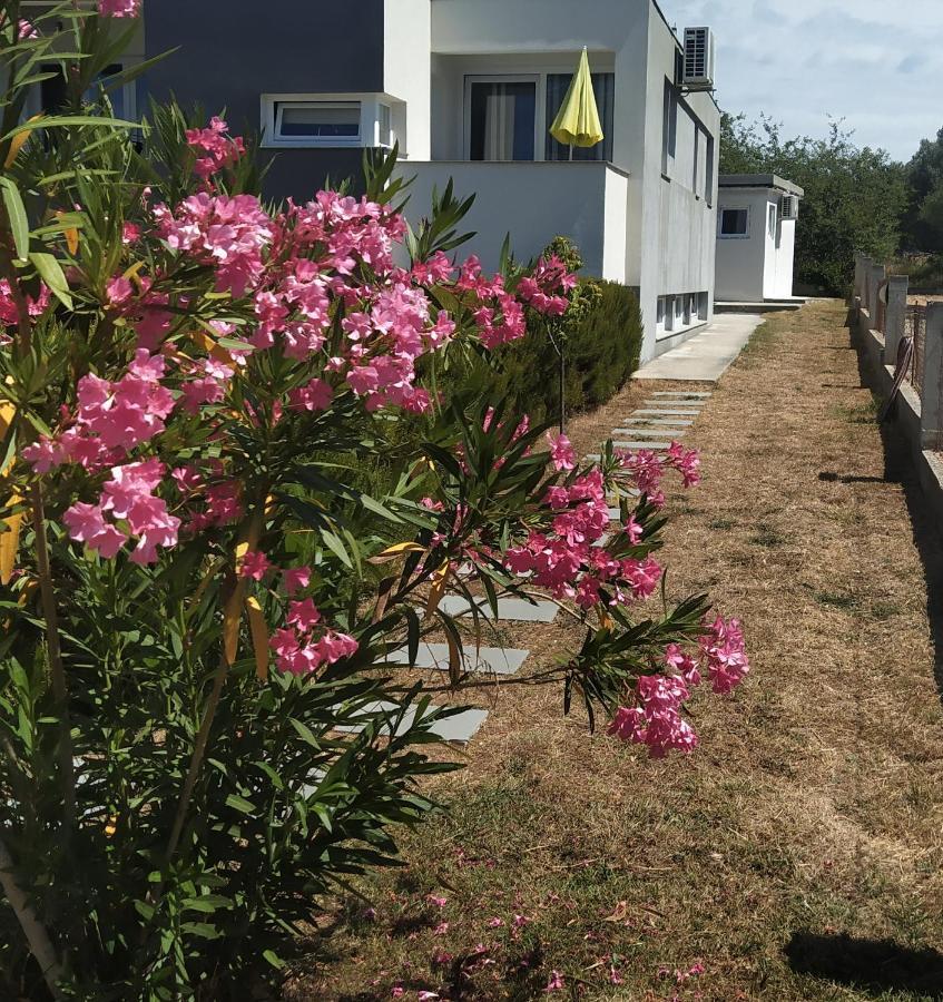 Apartments Dora 2 Bibinje Kültér fotó